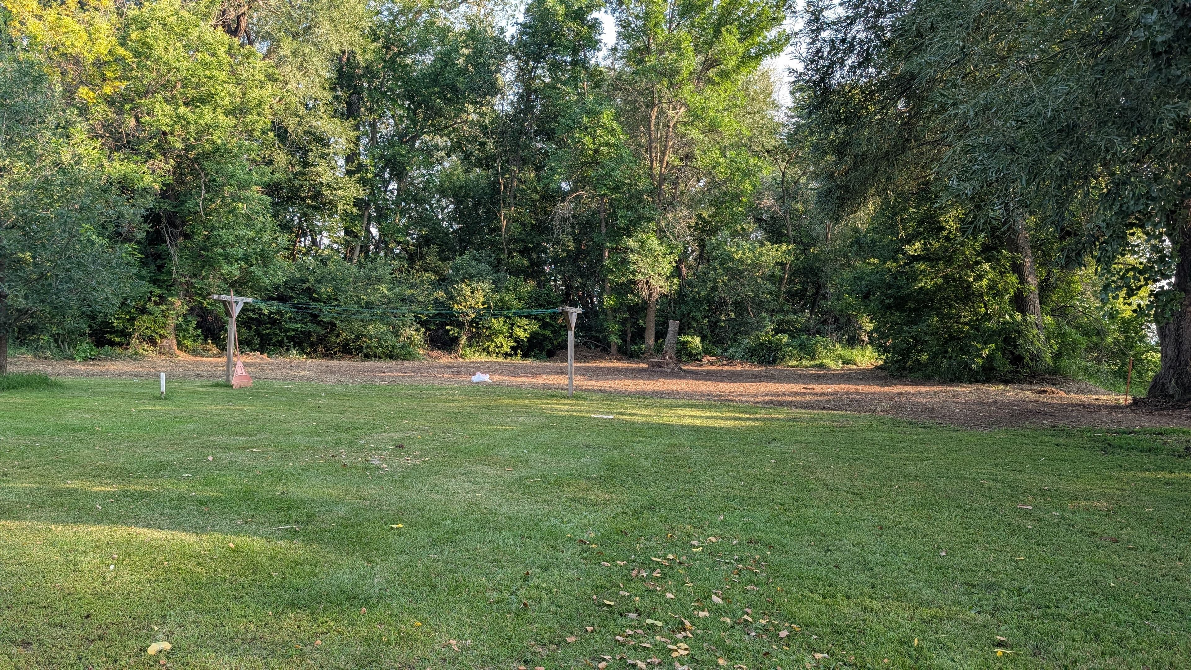 Project Overgrown Rural Property Cleared and Opened Up the Right Way image